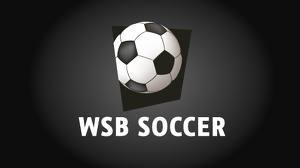WSBSoccer's profile picture. 