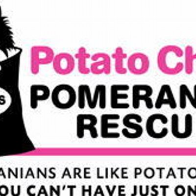 potato chips pomeranian rescue