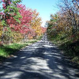 kats124online's profile picture. 