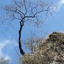 Avninder Kaur - @KaurAvninder - Twitter