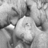 MyLastApology's profile image
