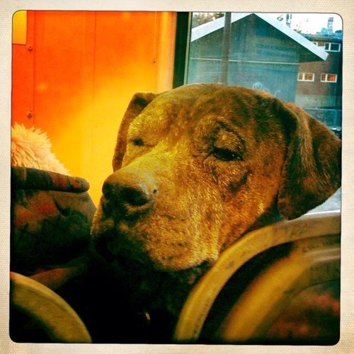 Anxious_Panic's profile picture. Experience the life of unemployment without having to suffer the economic drawbacks!