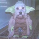 Daniel Hodges - @DaRealDanHodges - Twitter