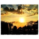 Dillon Herman - @DillonHerman987 - Twitter