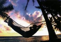 laidbackchap's profile picture. “Only from the heart can you touch the sky.” rumi