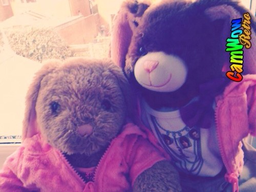 KellyAndRosie's profile picture. Hey There Kelly And Rosie Here!, Yes we are trying to gain fame and become famous in the Build-A-Bear industry!! TeamFollowBack!
♬°❤Kℯℓℓy&ℛℴsiℯ❤°♬