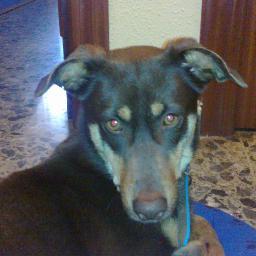 Bohemio, alquimista, psicólogo de la vida, garrapatero, destructor de melanina y grasa.
Aporta o aparta!