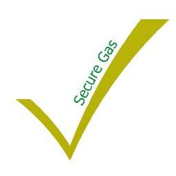 SecureGas