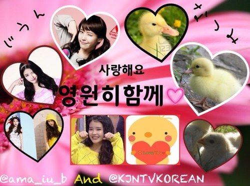 韓国大好き人間です(^-^)여러분한국좋아합니까⁇ㅋ 2月14日はKJNの生まれた日U・x・U