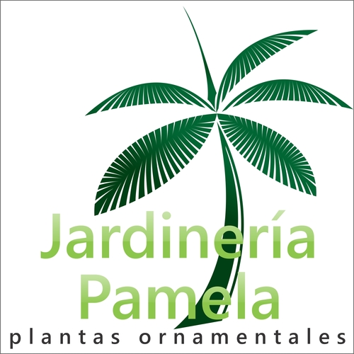 Tienda orientada a la venta de plantas ornamentales al por mayor y al detalle