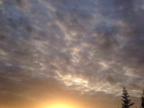 BisognanoC's profile picture. 