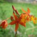 Doris Jaime - @elidor_7 - Twitter