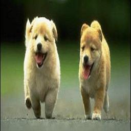 http://t.co/bl0OYeYaJz
Заработок 
http://t.co/9m1oZy0Af8