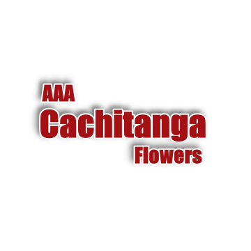 Cachitanga's profile picture. Let Cachitanga Flowers be your first choice for all your floral & plant arrangements. 
We are available for all occasions !
