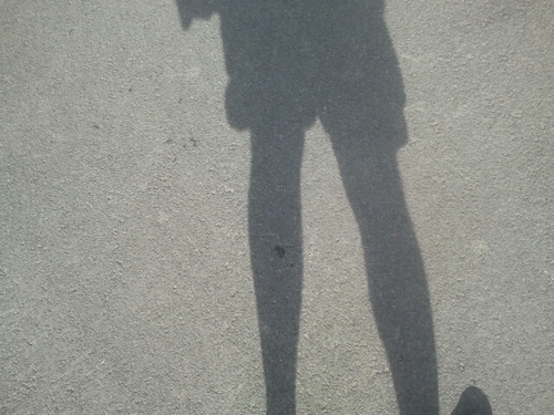 eirikof87's profile picture. Studiosus Perpetuus