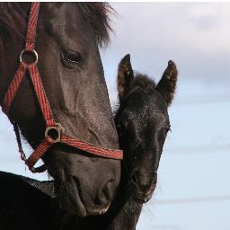 mollema8's profile picture. 