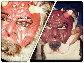 FcoRico81's profile picture. 