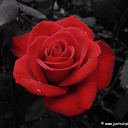 Grace Douglas - @gracedougSTOP - Twitter