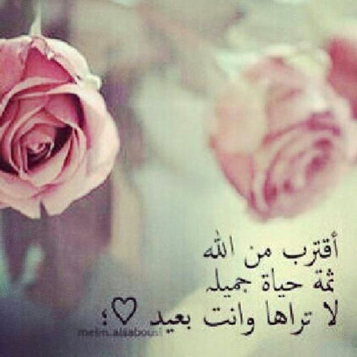 من يريد جمالا ، فالأخلاق تكفيه !