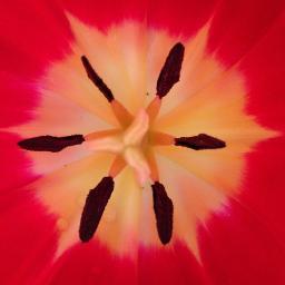 RickMusser's profile picture. Making the transition from the suburbs to the country. Creating a better, healthier, self sufficient family life.