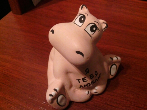 Hi, I’m Pigeon. Welcome to my mind.