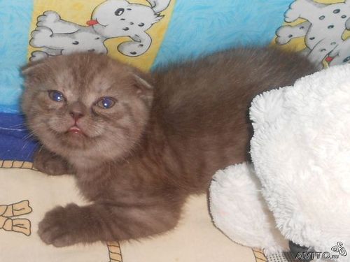 genie_kud's profile picture. 