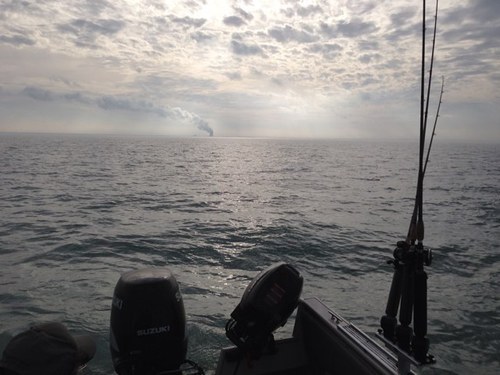 JibberRay's profile picture. Rewired, Logical , Experienced , Hunter , Fisherman , Spiritual, Citizen . If it makes sense do it !