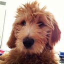 Charlie Dale Hatcher - @BonesNBitches - Twitter