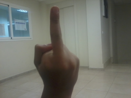 nazi080's profile picture. ::