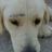 carlosbelda15's profile image