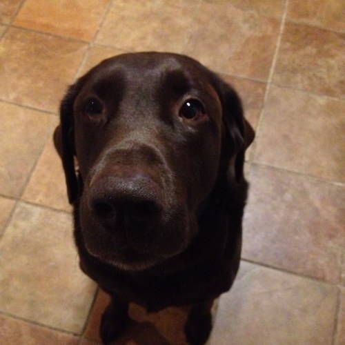 mjkyler's profile picture. 