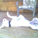 Alan Kinnard - @bigak1962 - Twitter