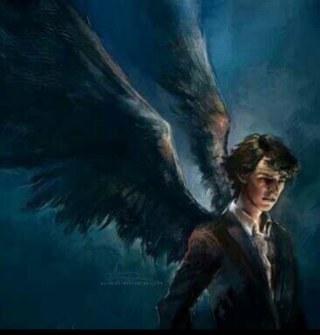 Take a look at me and tell me what you see. I am a highly functioning sociopathic consulting detective, but the angel who seeks vengeance. {{#Parody }}