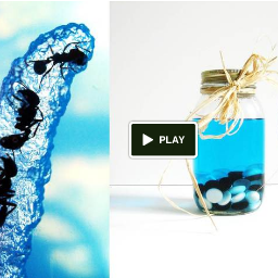 TheAntJar's profile picture. Our Kickstarter is up- Check it out!