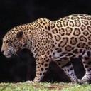 Diego Andres - @Mar_dieg - Twitter