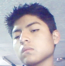 yango Profile