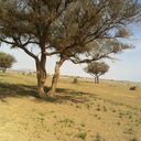 عبيدان التميمي (@11ao_) Twitter