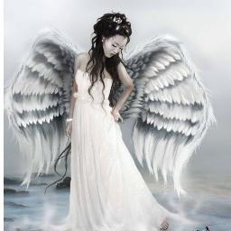 ChatCache's profile picture. 