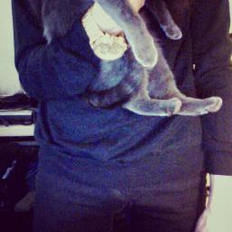 curlupcurlup's profile picture. 