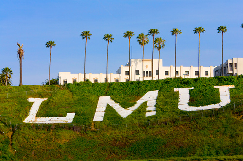 LMUcfr's profile picture. LMU's Office of Corporate and Foundation Relations serves as the primary liaison for corporate and foundation interactions with Loyola Marymount University.