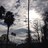 skyfox123's profile image