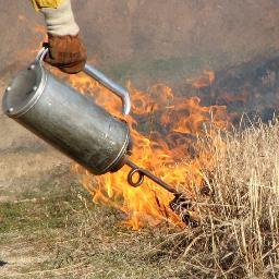 Promoting prescribed fire to restore, enhance, and maintain healthy forests and other fire-adapted ecosystems within the Southeastern U.S.