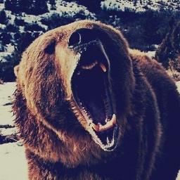 CunspearahC's profile picture. Dreams long forgotten but working towards anyway.