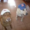 John Frederick - @johnincolorado1 - Twitter