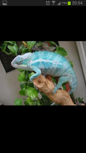 pacome120's profile picture. 