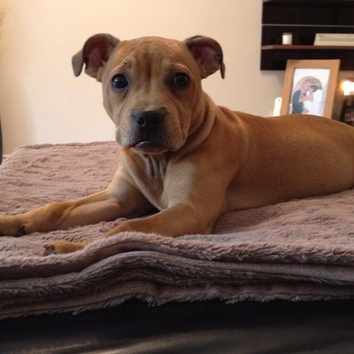 chrisw1978's profile picture. 