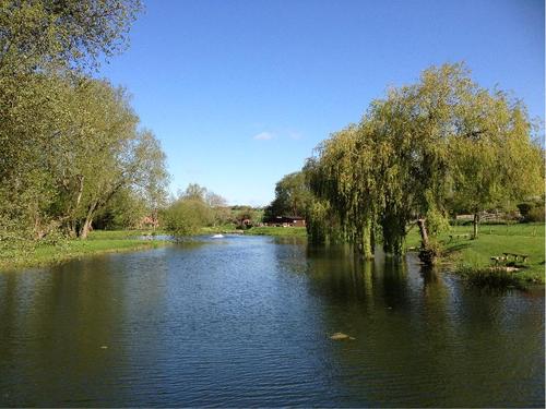 Church Paddock is a spring fed lake set in 5 acres of landscaped ground on the outskirts of Winchester. The lake holds rainbow, brown & blue trout to 15lb+