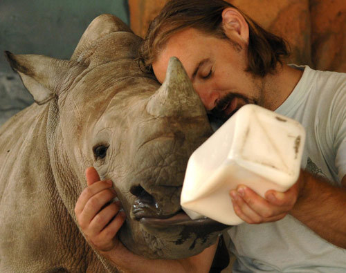 abrahamdelejsi's profile picture. 