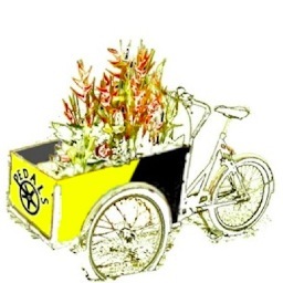 100% Zero Emissions Tricycle and Bicycle Courier Company within Central London
