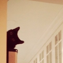 cckcrft's profile picture. 